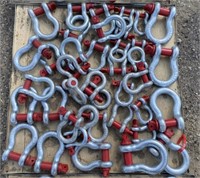 (EX) DIGGIT 38pc Screw Pin Anchor Shackles