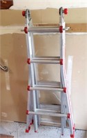 Multi Way Ladder