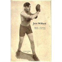 1909 Jess Willard Max Stein Boxing Postcard