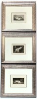 Set of 3 Old Engravings of Nudes, Nicely Framed.