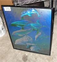 Dolphin Framed Poster