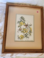 signed yellow flowers, birds by Anne Richardson
