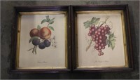 Pair of framed Fruit Prints 2pc.