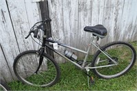 Bon Terra bike
