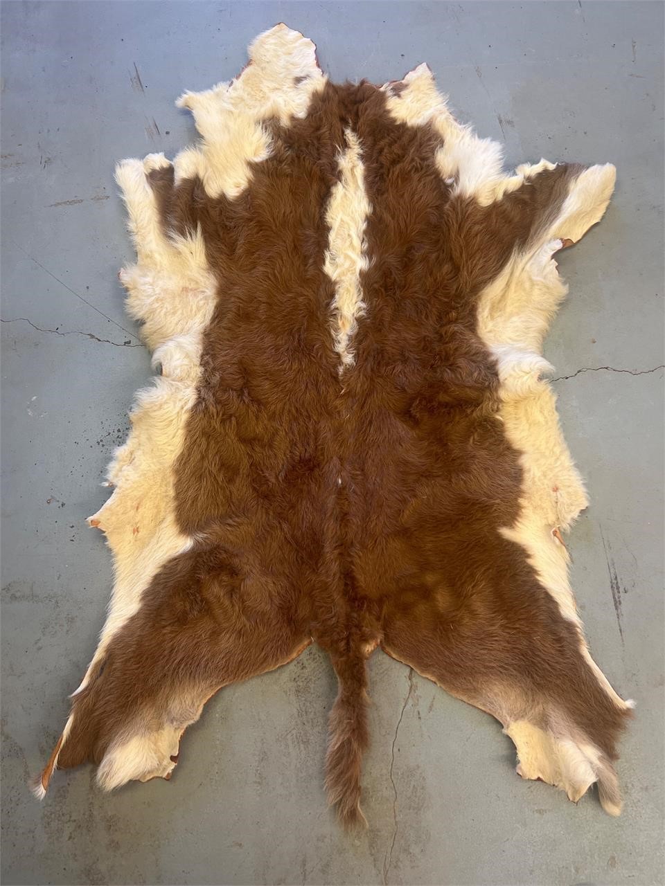 Cowhide, leather rug 29x47