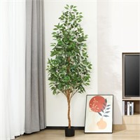 N4846  DR.Plantz Ficus Tree, 7 ft