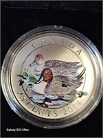 2014 25 cent Coloured Coin The Pintail