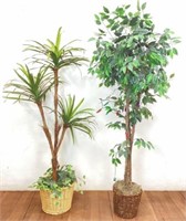 (2) Indoor Faux Trees (1) Ficus, (1) Yucca