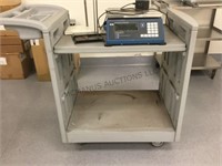 GSE SCALE 375 PRECISION COUNTING WITH STANDS