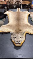 FULL BODY COUGAR RUG