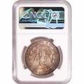 Morgan Silver Dollar 1890-O MS64 NGC Toning
