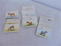 Imperial Tobacco Dog Trading Cards 130+