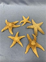Lot of 5 starfish in good condition     (700)