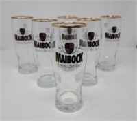 Set of (6) Maibock Lager Gold Rim Pub Glasses