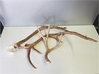 (3) Antlers