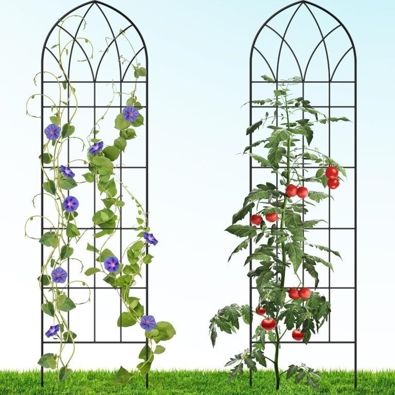 Garden Trellis 58" x 16" - 2 Pack