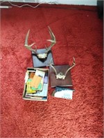 Box of hunting licenses antlers ashtray