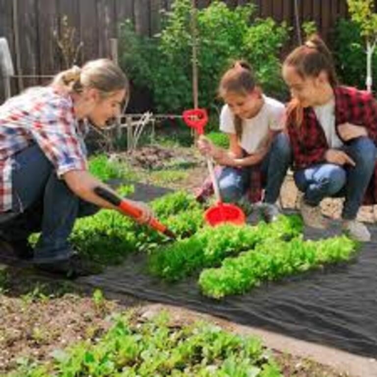 Black Weed Barrier 3ft x 300ft