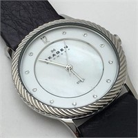Skagen Denmark Stainless Steel Wrist Watch