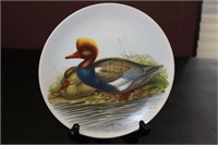 Collectors Plate by John Gould