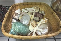 BASKET OF SHELLS