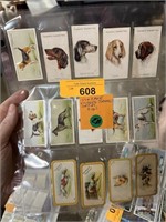 LOT OF VINTAGE ENGLISH TOBACCO CARDS DOGS