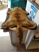 RED FOX PELT TAXIDERMY