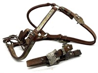 Leather Bridle with Detailed Metalworking