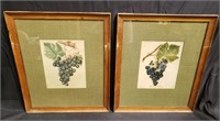 Pair of framed book plates