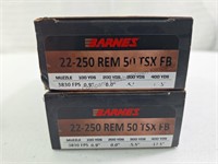 BARNES,  .22-250 , 50 grain, 3830 FPS, TSB FB, 2