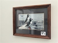 Small Picture "The Puffin"