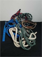 Lead ropes and halters