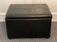 Padded storage box 24”x19”x15 1/2”, has a couple