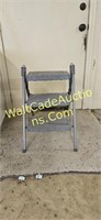 Costco Stepladder