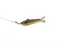 Lane's Automatic Minnow