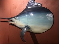 Fibreglass Marlin Head with Original Barb