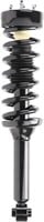 Suspension Strut and Coil Spring Assembly173350