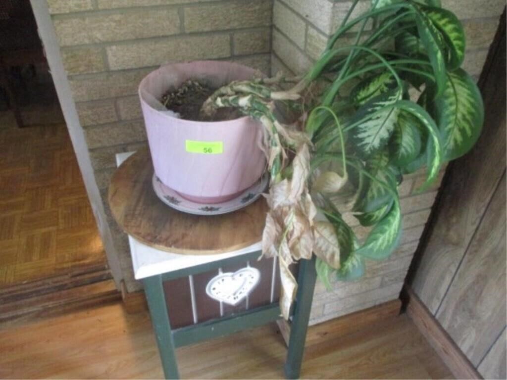Plant and wood plant stand