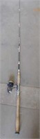 Fishing Pole with a Mitchell 300
