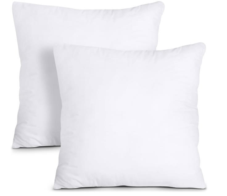 Throw Pillows Insert Pack of 2 18x18 Inches