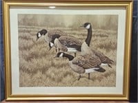 Canadian Geese Art Picture