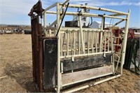 Cattle Chute with HiQual Head Catch