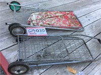 Grocery Carts (2)