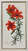NICE MARY E. COLWELL SIGNED OIL - TIGER LILIES