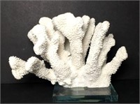 Coral Decorative Piece on Acrylic Stand
