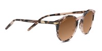 Serengeti Leonora Sunglasses