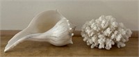 Coral/seashell