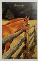 Vintage RPPC Postcard Dexter Press Fenced In!