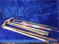 Group of 7 Canes and Umbrellas
