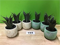 Ceramic Planters with Plastic Aloe Plant lot of 6